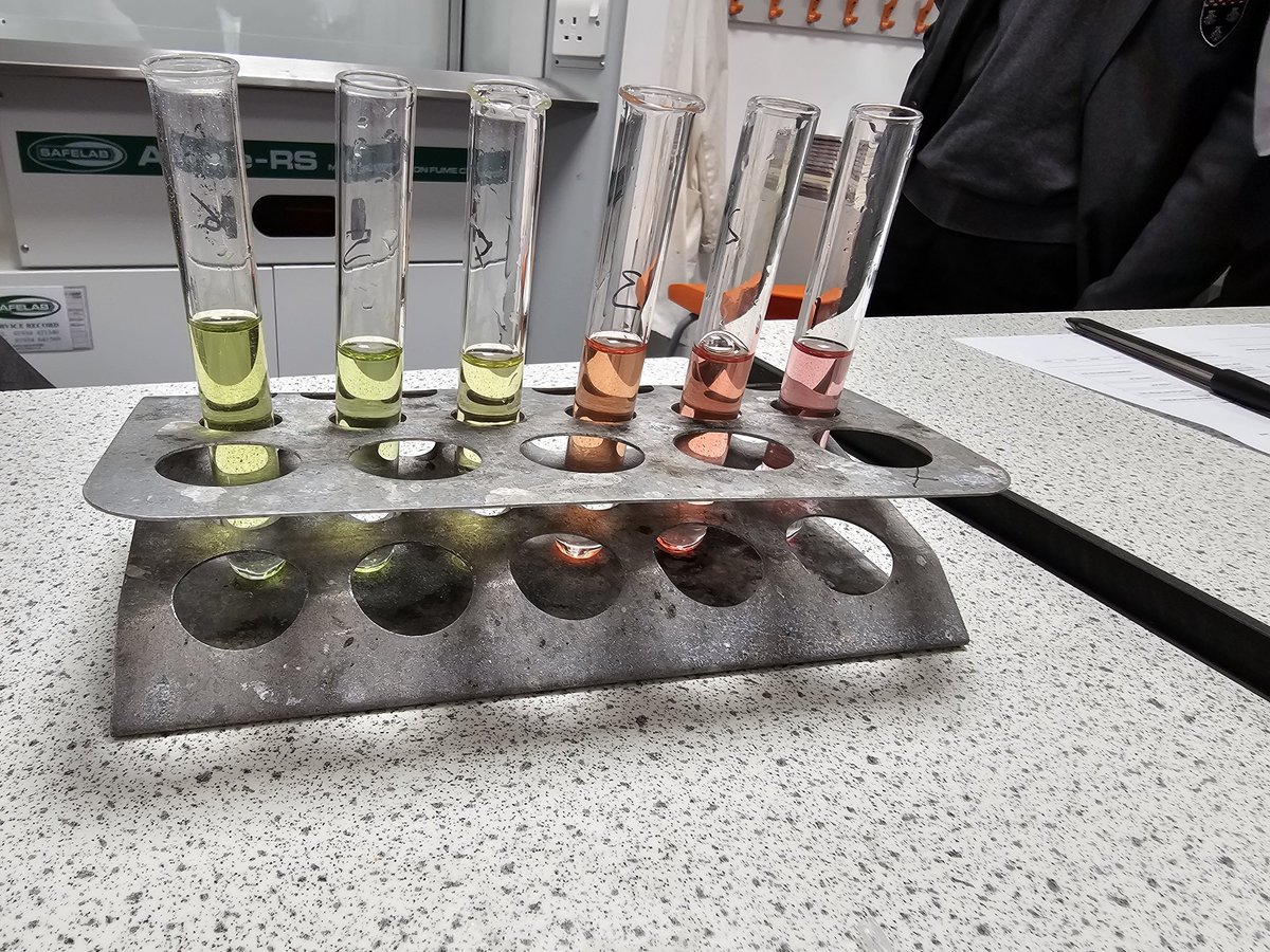 Ponteland Science tweet media