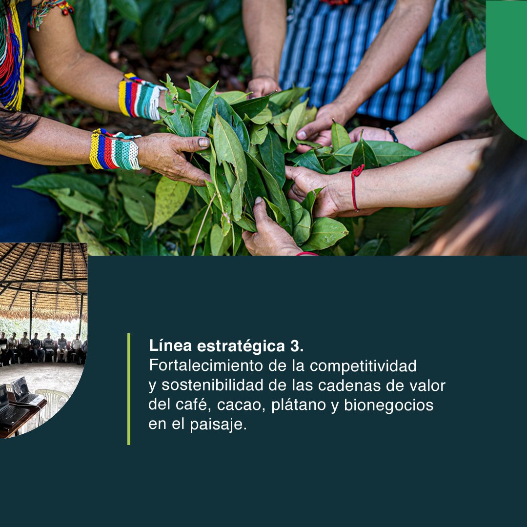 Practical Action en América Latina tweet media