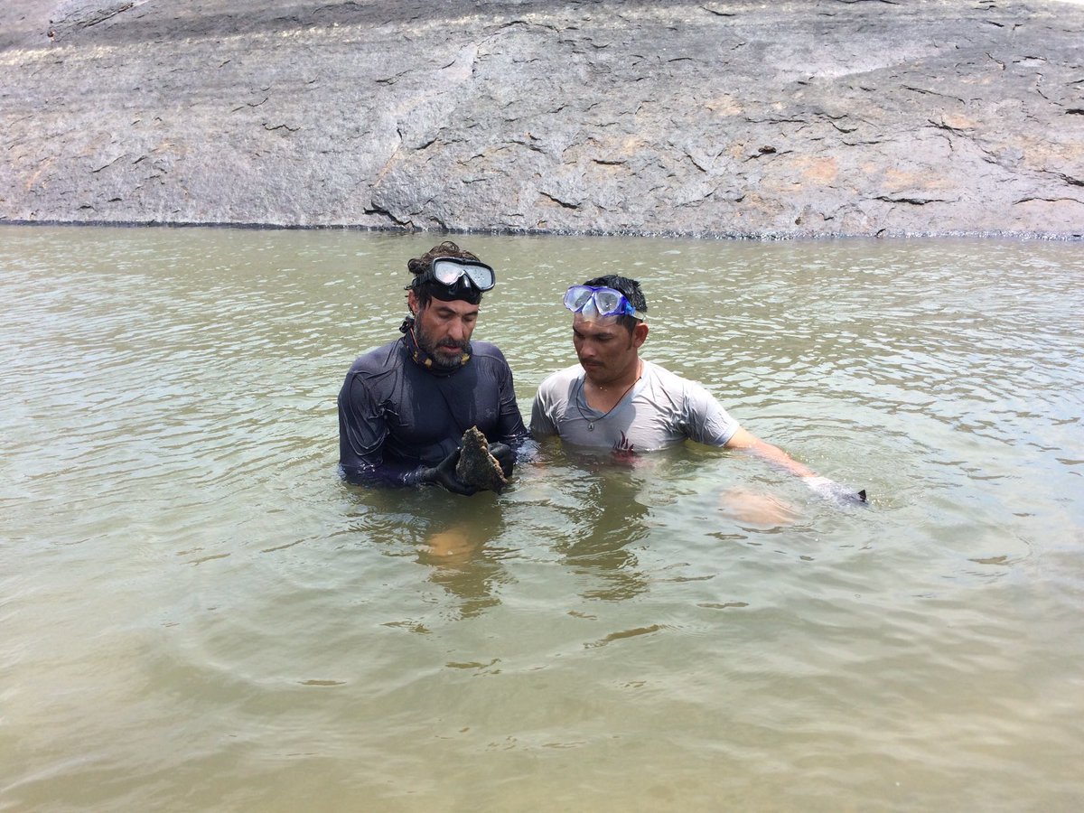 En recuerdo al Maestro Rafael Martínez-Escarbassiere: nueva especie de molusco (almeja) de las profundidades del Orinoco, asociado a nuevas esponjas y poliquetos de agua dulce! Gracias Cristina y Daniel. ⁦<a href="/inst_humboldt/">Instituto Humboldt</a>⁩ ⁦<a href="/FundacionOmacha/">Fundación Omacha</a>⁩