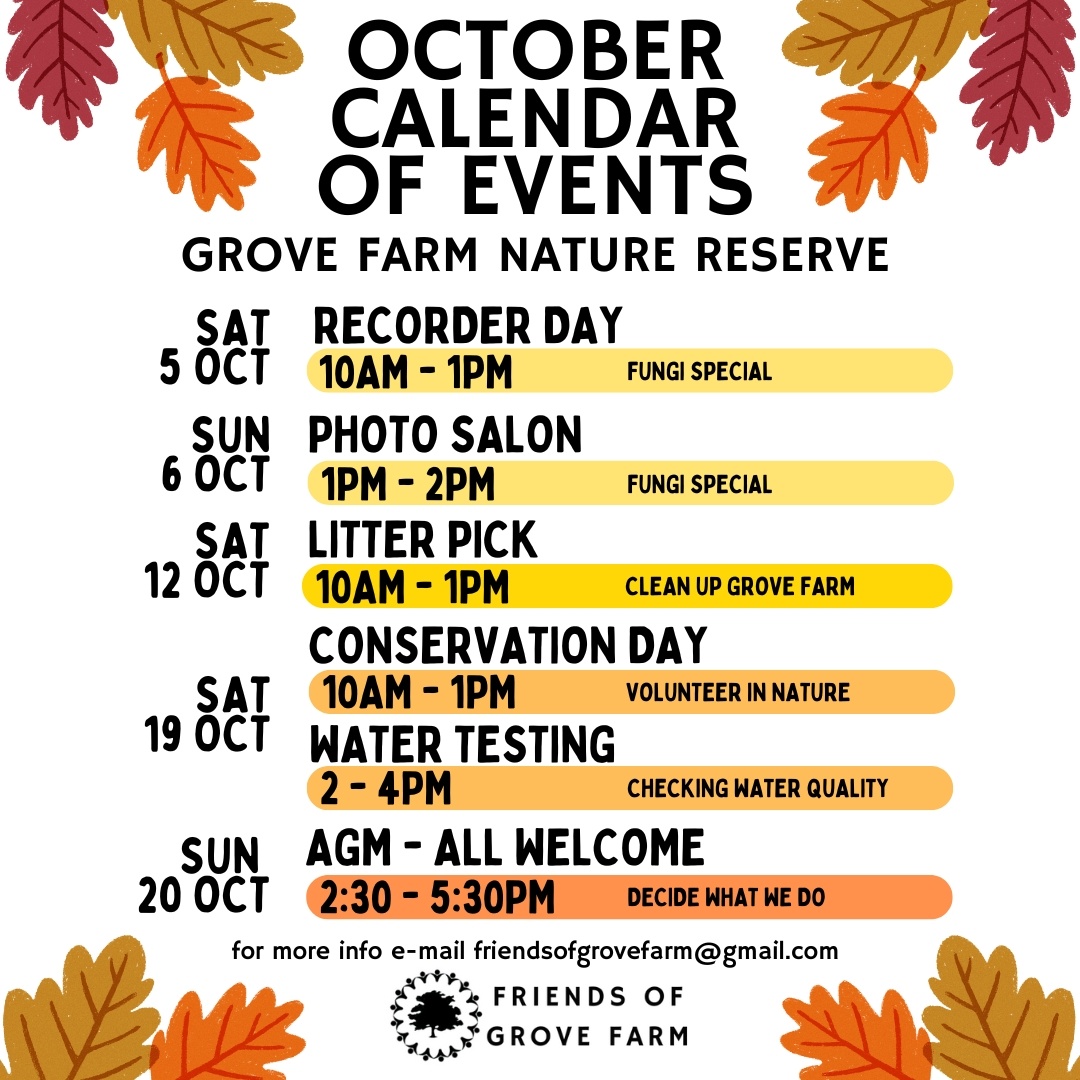 Join us this October for an adventure with Friends of Grove Farm! Whether it's a photo workshop 📸 or an activity day 🛠️, we’d love to see you at Grove Farm nature reserve! Link in Bio for our contact details.

#volunteers #createsomething #friendsofgrovefarm