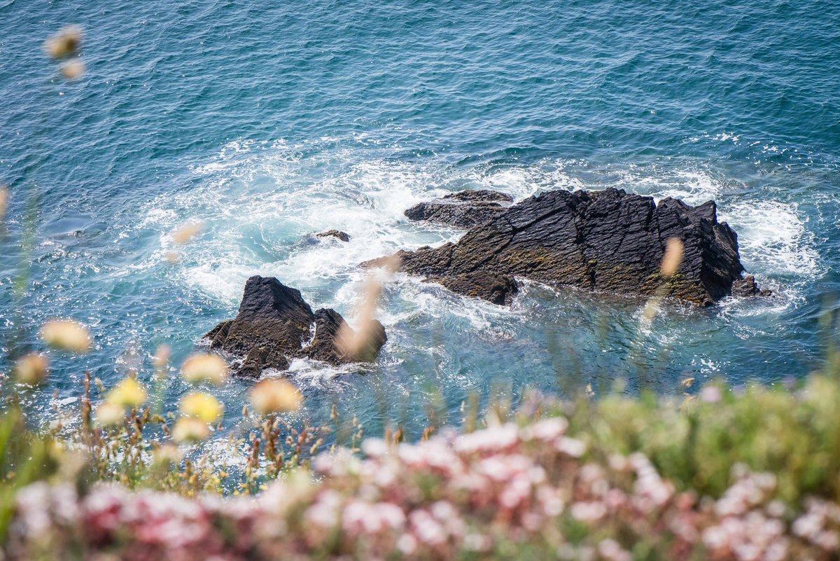 CorkConventionBureau (@conference_cork) on Twitter photo During Ireland's #SDG Week 2024 we are highlighting sustainability best practices. Respecting & preserving our #biodiversity is vital for the future of the #tourism industry. Where are your favourite eco-tourism spots in #Cork? <a href="/Dept_ECC/">Dept. Environment, Climate and Communications</a> <a href="/EuropeanSDWeek/">ESDW</a> #sustourismcork #wearecork During Ireland's #SDG Week 2024 we are highlighting sustainability best practices. Respecting & preserving our #biodiversity is vital for the future of the #tourism industry. Where are your favourite eco-tourism spots in #Cork? <a href="/Dept_ECC/">Dept. Environment, Climate and Communications</a> <a href="/EuropeanSDWeek/">ESDW</a> #sustourismcork #wearecork