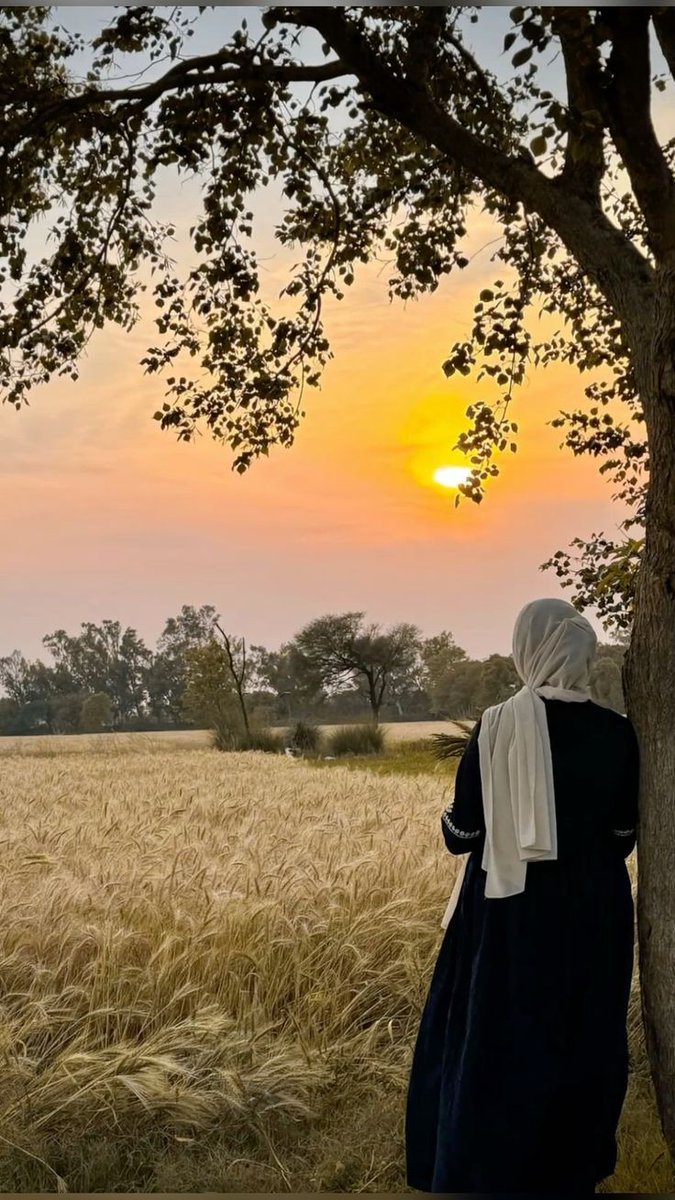بنت آدم و حوا🕊️✨ tweet media