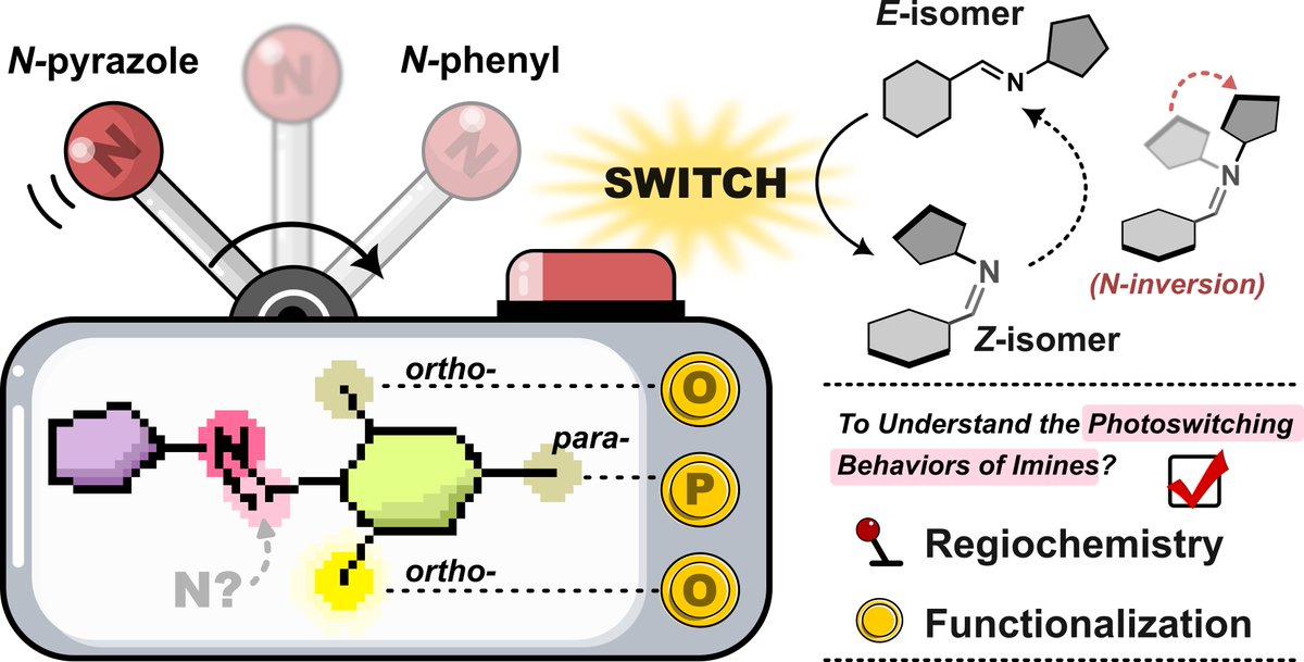 Jake Greenfield (@jakeylg) on Twitter photo 🚨You know what Imine? Our systematic structure-property relationship study on imine photoswitches is now out in <a href="/angew_chem/">Angewandte Chemie</a> 💡🚥🚀We explored condensed phase switching and captured a Z-arylimine💎structure! Feat. <a href="/GalliumWu/">Jiarong Wu</a> + LasseK <a href="/Uni_WUE/">Universität Würzburg #UniWürzburg</a> #AIPs doi.org/10.1002/anie.2… 🚨You know what Imine? Our systematic structure-property relationship study on imine photoswitches is now out in <a href="/angew_chem/">Angewandte Chemie</a> 💡🚥🚀We explored condensed phase switching and captured a Z-arylimine💎structure! Feat. <a href="/GalliumWu/">Jiarong Wu</a> + LasseK <a href="/Uni_WUE/">Universität Würzburg #UniWürzburg</a> #AIPs doi.org/10.1002/anie.2…