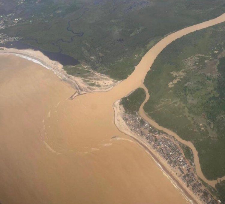 EdwinDelasi's tweet photo. I have moved about in our costal areas and I have witnessed firsthand the devastation caused by illegal mining, or “galamsey,” on our environment and water bodies. What I saw deeply saddened me. Our rivers and lands, once sources of life and sustenance, are now polluted beyond recognition. I returned home with a heavy heart, seeking answers in prayer, and was led to establish the Serene Future Foundation (@serenefutureorg) a year ago. Our mission is clear: to bring clean water, sustainability, and better living conditions to the mothers and families in these communities.

One of our earliest projects focused on drilling boreholes to provide safe drinking water for these affected communities. However, after consultations with engineers, I was faced with a grim reality: the very water we seek to provide may already be contaminated by the harmful effects of galamsey activities. The consequences of this illegal mining are seeping deeper than we can dig, affecting even the underground water sources that should be safe.

We must collectively fight for our country. 

Take your political parties and the pennies they give you to buy your loyalty. You will experience real pain and regret when you have to buy a bottle of water for outrageous prices, when you don't have clean flowing water in your taps, and when you get diagnosed with food poisoning etc, then you will realize the pennies they gave you can't even buy you basic healthcare. They will fly themselves and their kids abroad for better healthcare while you live in anguish at the collapsing Korle bu.

Take your political parties and give me Ghana.  #StopGalameseyNow #Freethecitizens #SayNoToGalamsey