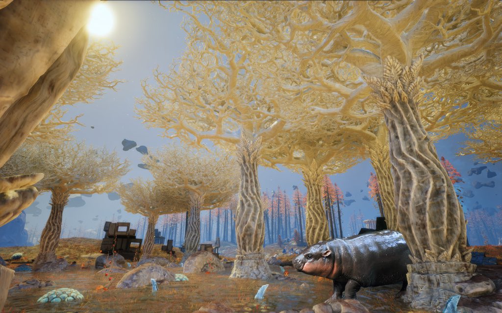 PlayProvidence's tweet photo. Update: 

Moo Deng has been added to the wetlands. 🦛

#Moodeng https://t.co/fDNy777wRU