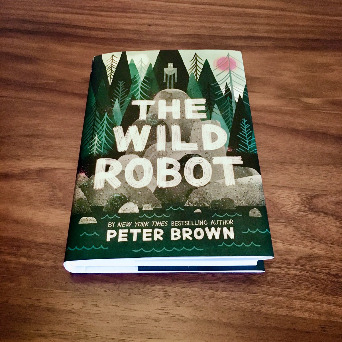itspeterbrown's tweet image. How it started &amp;gt; How it went &amp;gt; How it’s going

#thewildrobot #TheWildRobotMovie