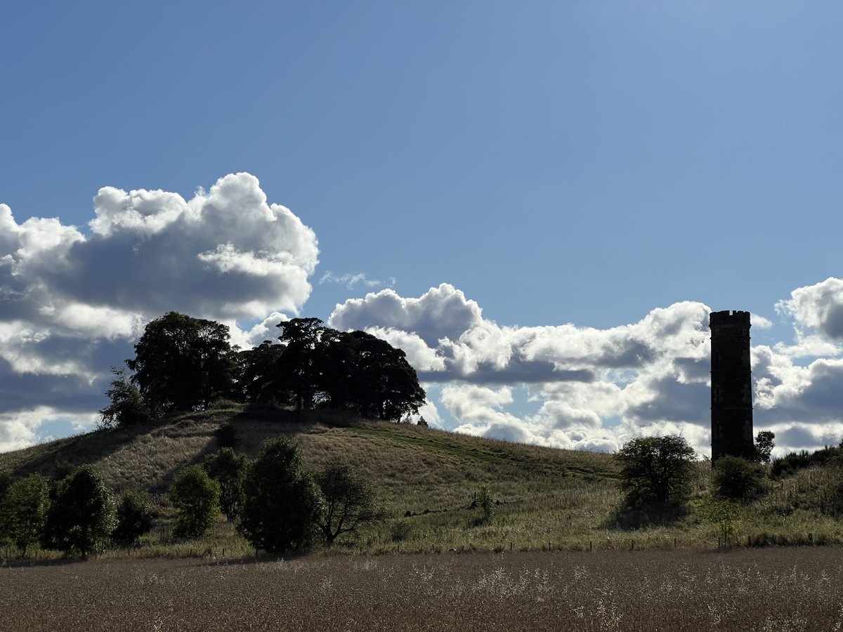 dnmnsmith's tweet image. Cammo 20240927PM #cammo #edinburgh #cyclecommuting #photography