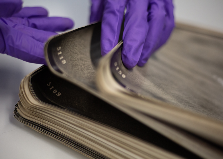 Genus Archive Digitise tweet media