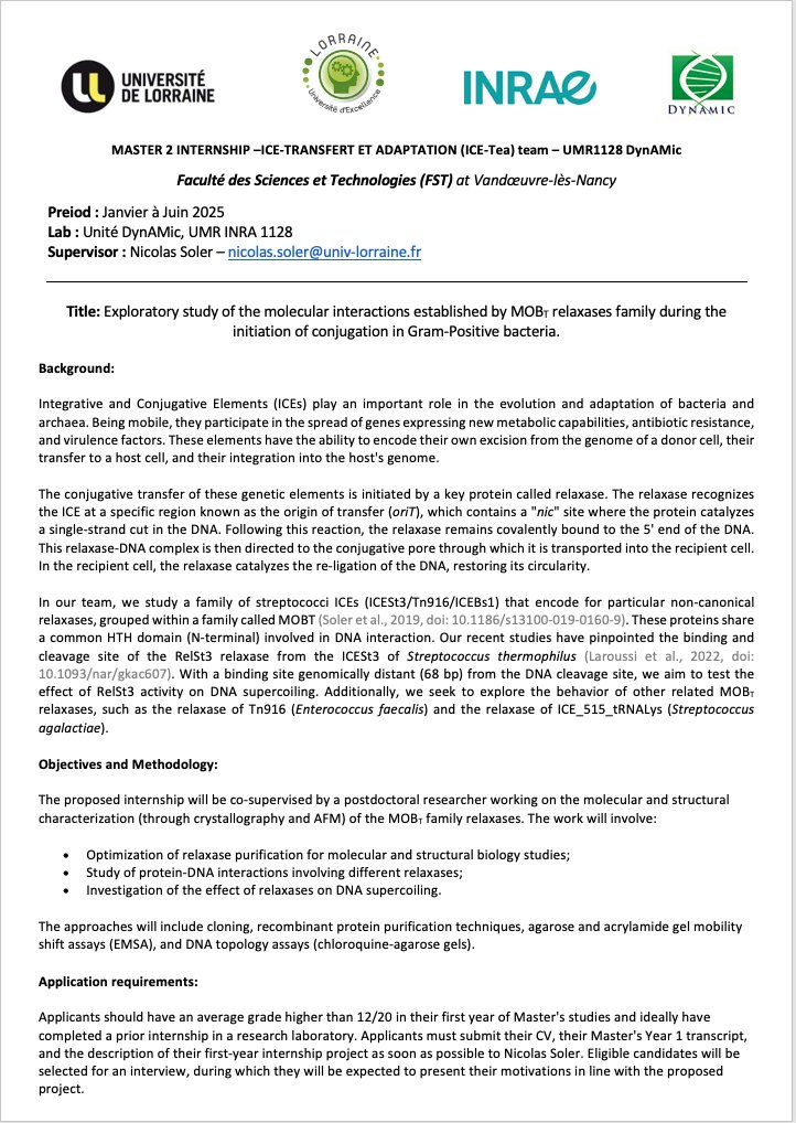 Douzi.Badreddine tweet media