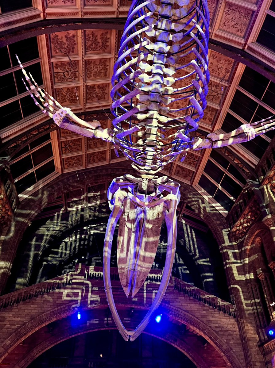 Lots of great nature photography to look forward to in October, not least the Wildlife Photographer of the Year awards, presided over by Hope, the blue whale. See natureview.substack.com