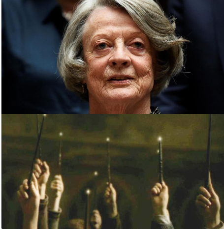 lamamadelpocho's tweet photo. Hasta siempre #maggiesmith #minerva #McGonagall https://t.co/6CDiaHOUfw