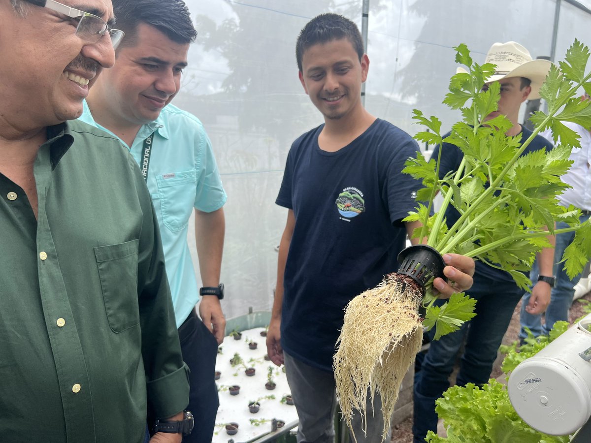 UEenElSalvador's tweet photo. ¡Seguimos apoyando a los pequeños agricultores! 🚜 
A través del Encuentro Técnico Regional de #AgroInnova, impulsamos una agricultura resiliente y fortalecemos las capacidades de pequeños agricultores en toda la región.🌱#PactoVerdeEuropeo https://t.co/ejlitNOOZc