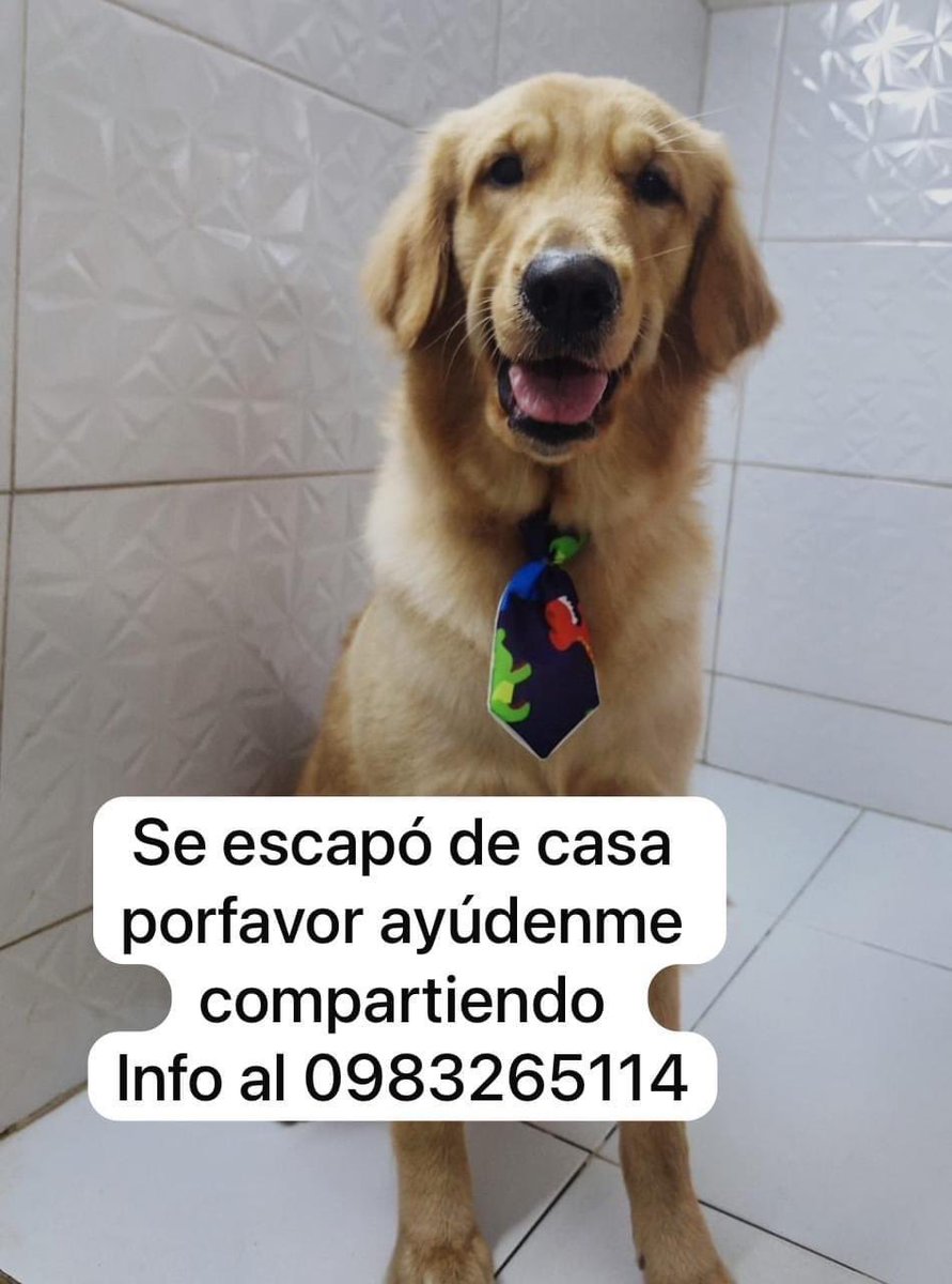 Karen Forcado ♥️🇵🇾🚩 tweet media