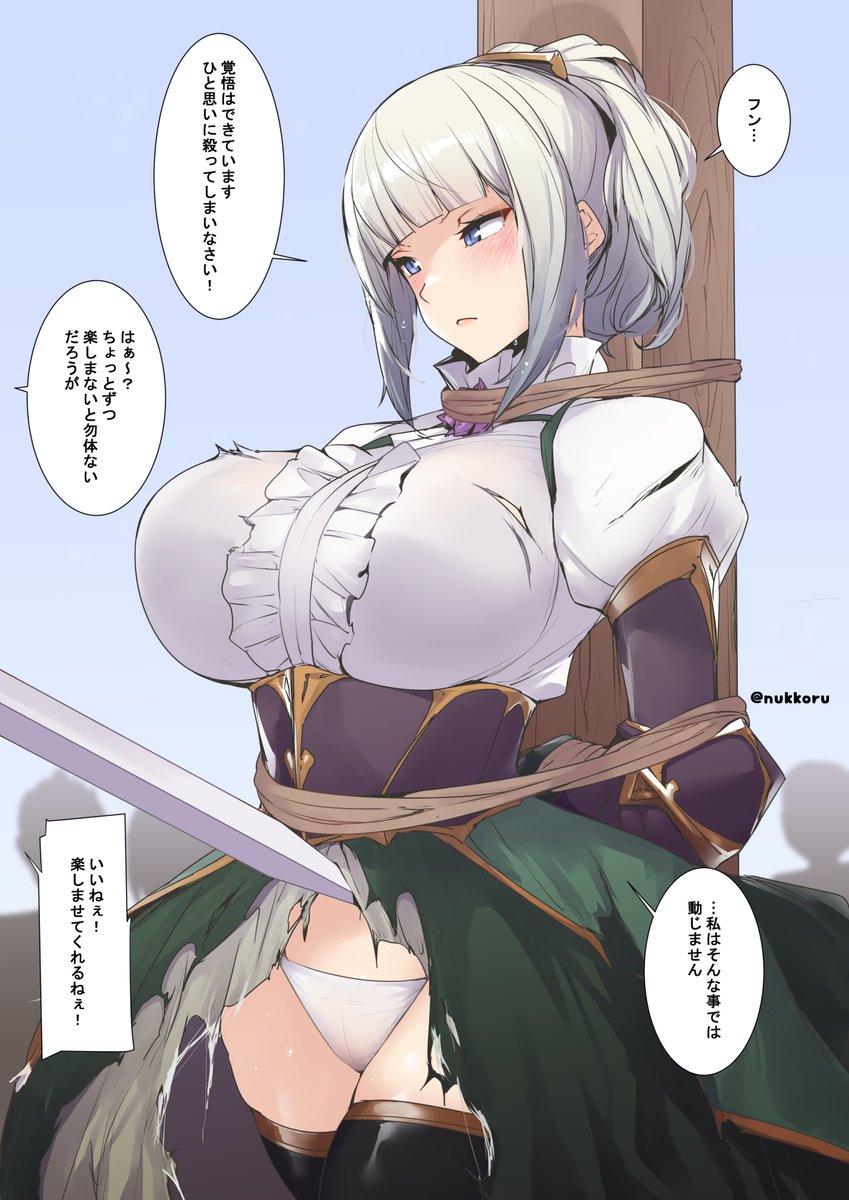 主人公補正の無い姫騎士の末路 