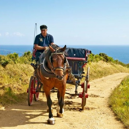 The Unique Island of #Sark

Just 1 hour 10 minutes by sea, a visit to Sark from #Jersey will transport you back in time. 

Visit zurl.co/E0ok for more details and to book.