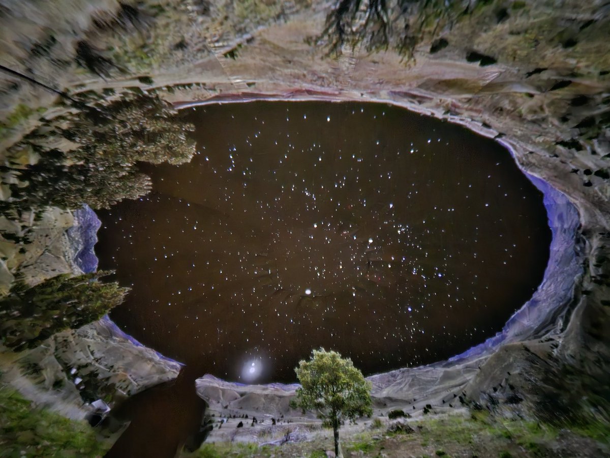 Ridge Family Center for Learning tweet media