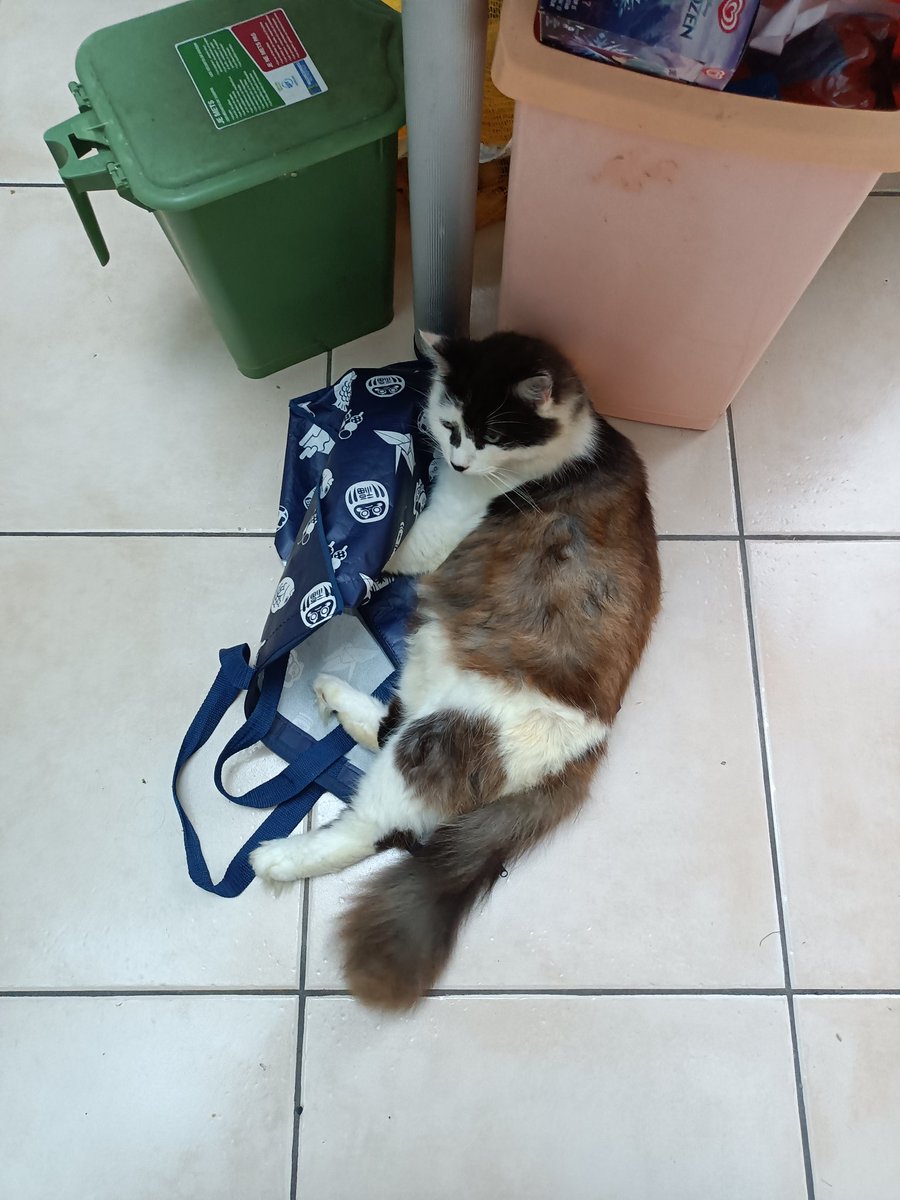 Darkunn_ tweet media