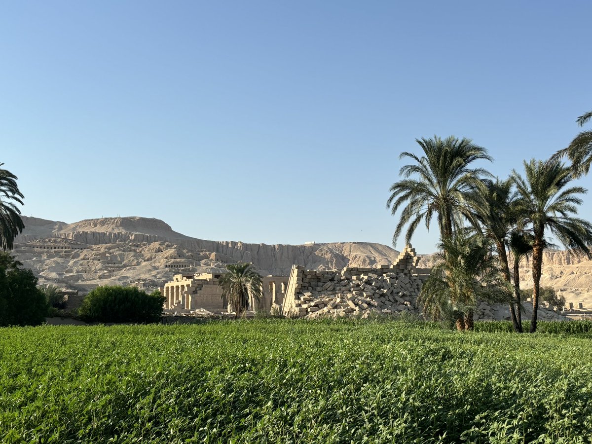 jubudka's tweet photo. I really like the view of the Ramesseum from the east, from the fields #Qurna #Luxor #Egypt https://t.co/DHhQmlms8u