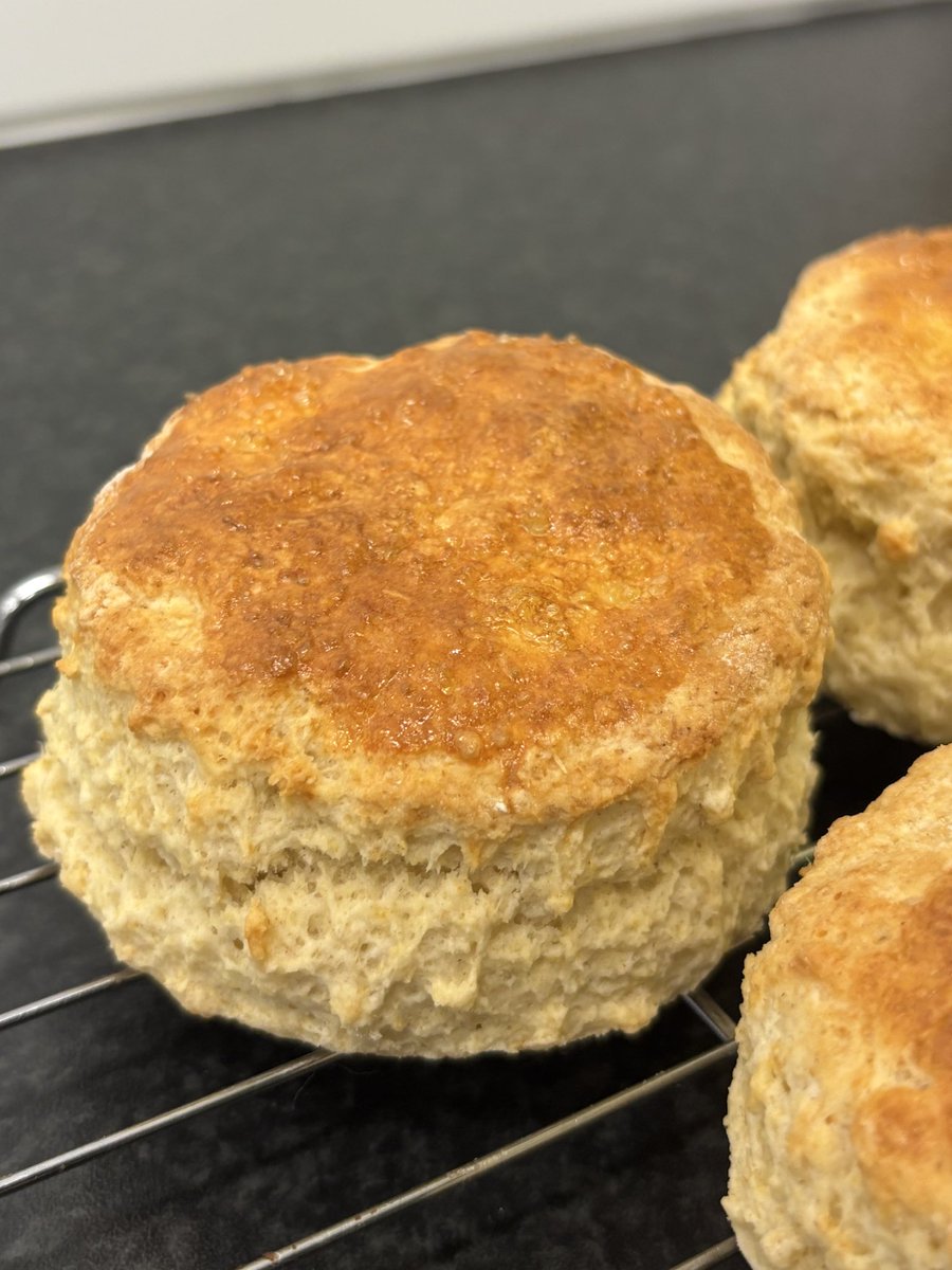 gracie ☆ tweet media