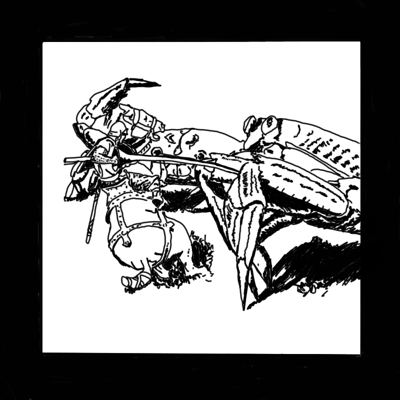 WanderingInn's tweet photo. A fight spoken of all over Izril and Terandria: It's [Lord] Olvos Lanight vs the Sword Crab from #TheWanderingInn by moerchen!

Who won this epic duel?

📚 #FantasyIcon #LitRPG #WebNovel #EpicReads #FanArtFriday #Bookish #BookCommunity #BookTok #Pirateaba https://t.co/ogY1ECPeRo