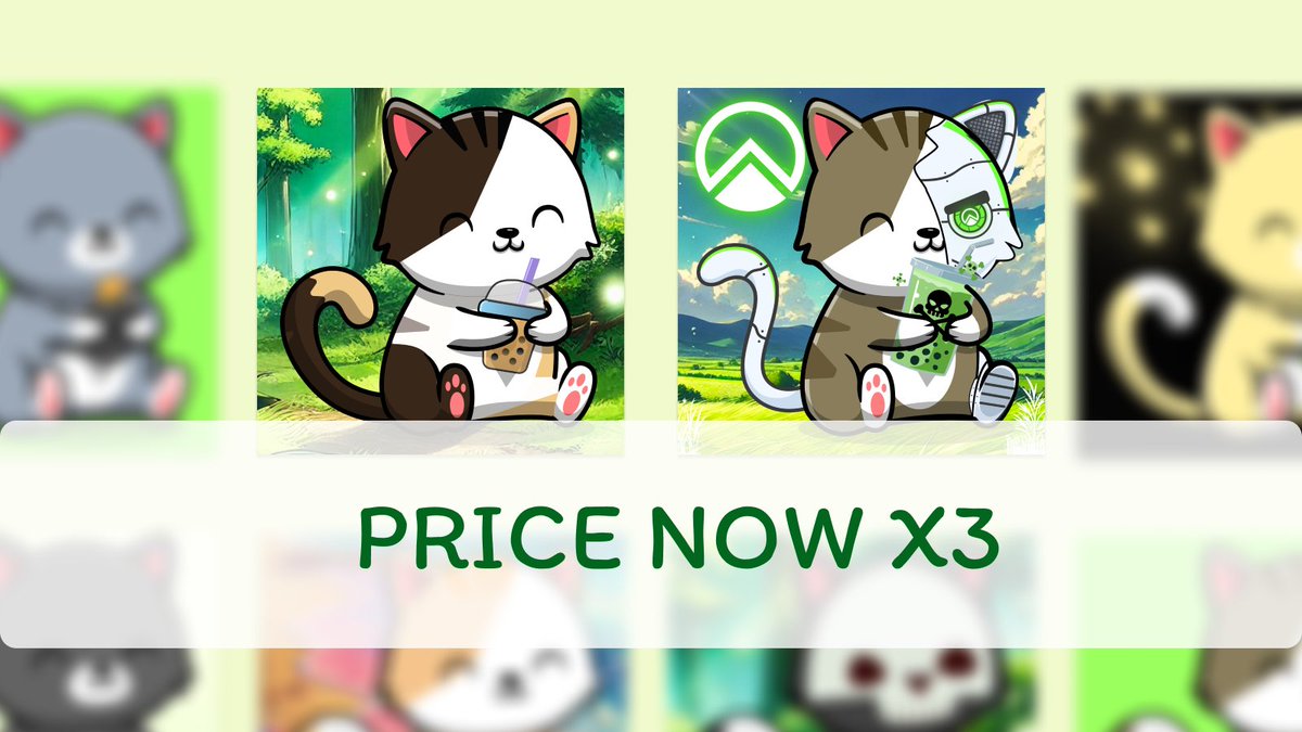 Zircuit Catto tweet media