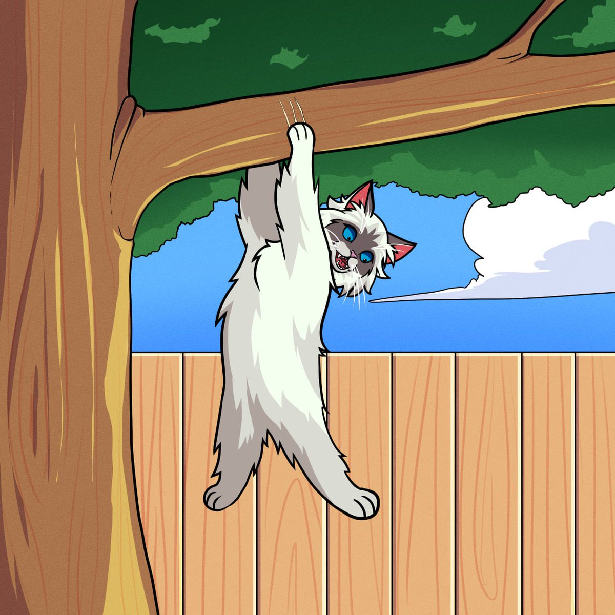 masyaon_eth's tweet photo. A cat always climbs back... $MASYA is no different

Feline = feline

Get in here now: https://t.co/kjGvz3KWLA
