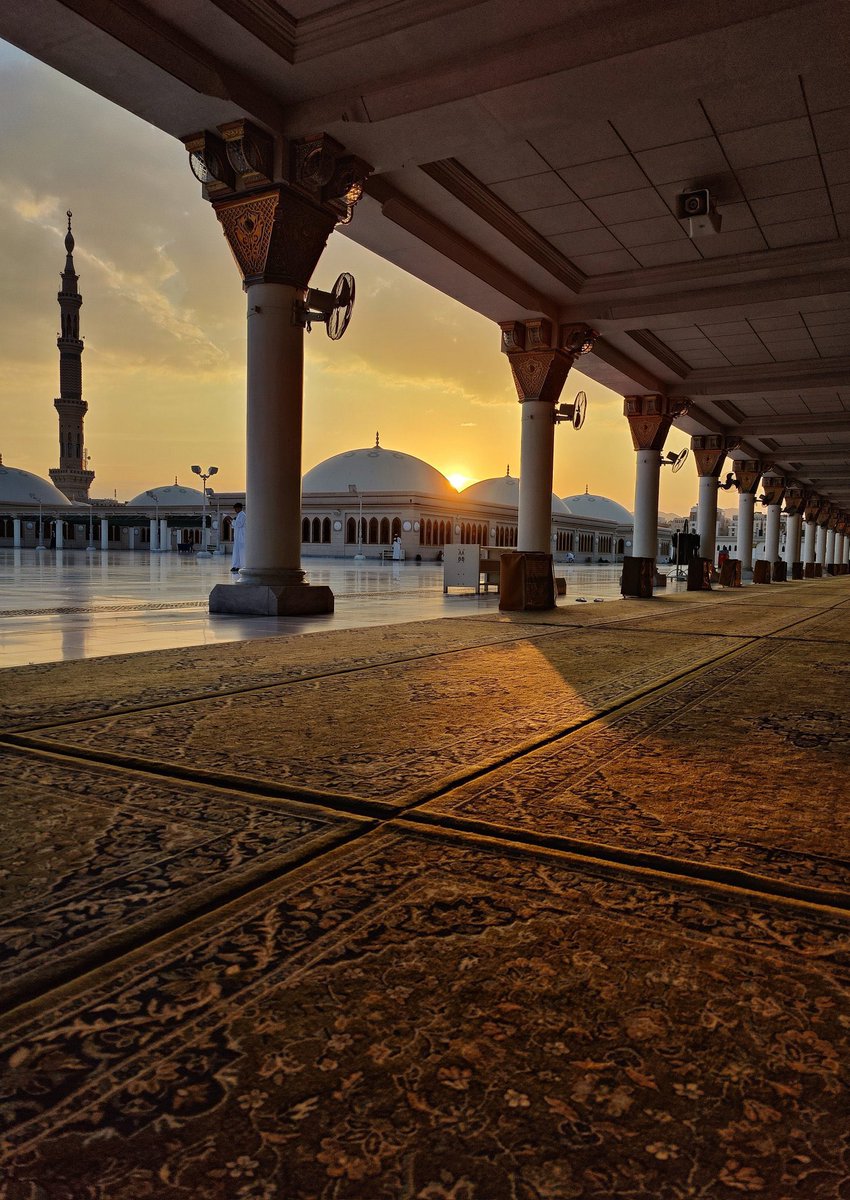 Arab world tweet media