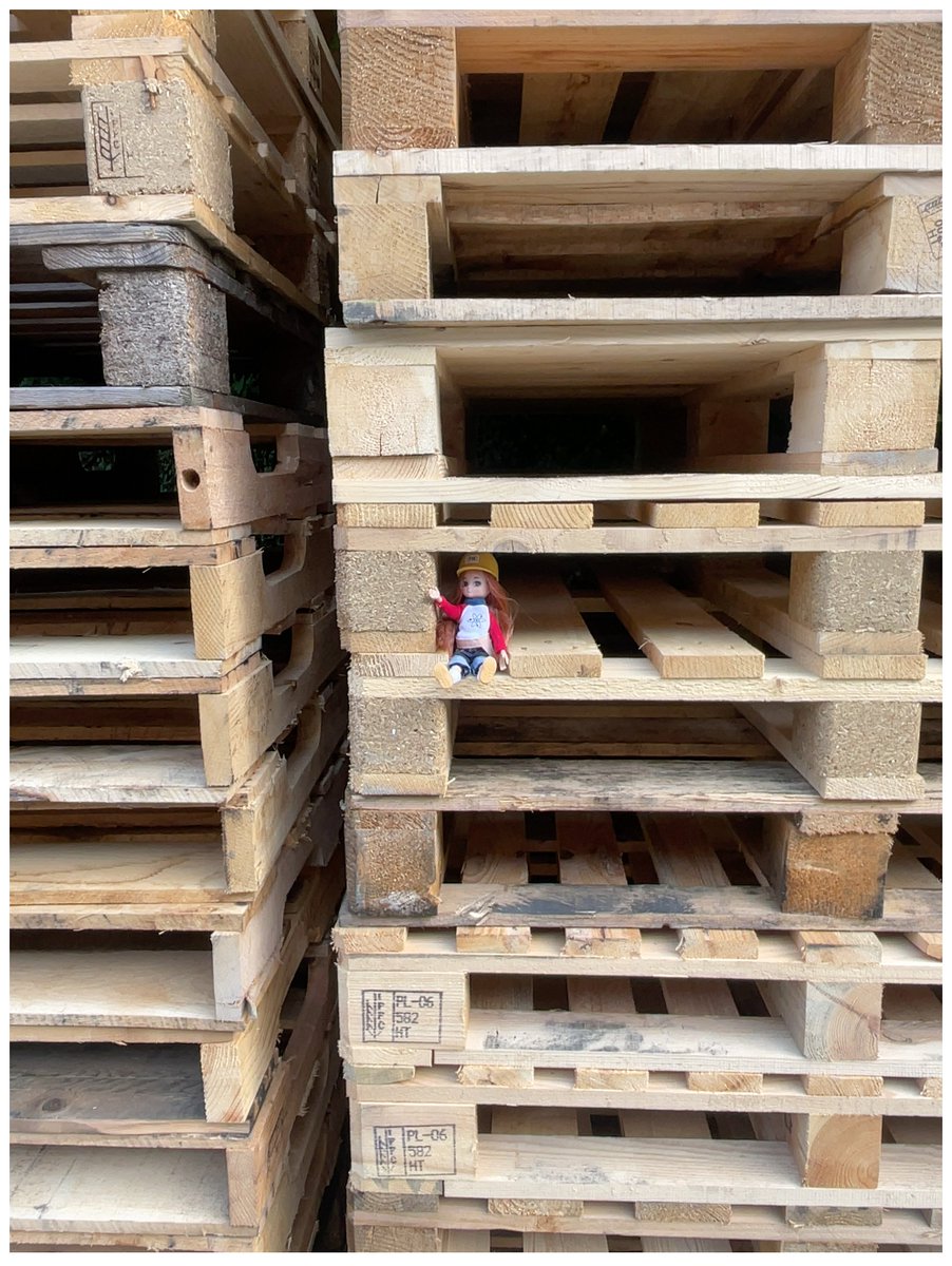 Lottie is learning about being a risk engineer working for FM as part of their sponsorship of the #WESLottieTour. Today Lottie is considering how well a pile of idle pallets will burn if involved in a fire – that’s a lot of pallets Lottie! #TEWeek24 <a href="/FMGlobal/">FM</a> <a href="/WES1919/">Women's Eng. Society</a>