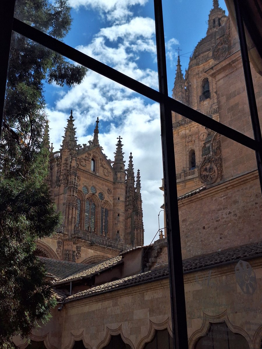 Cristina Soto tweet media