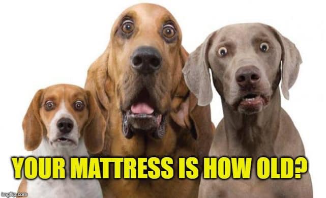 Tired of waking up and still feeling tired, stiff or sore? Tomorrows the day to replace that old, worn out mattress and get the rest that you deserve. You'll save money and help support the Rush Henrietta Volley Ball Program.