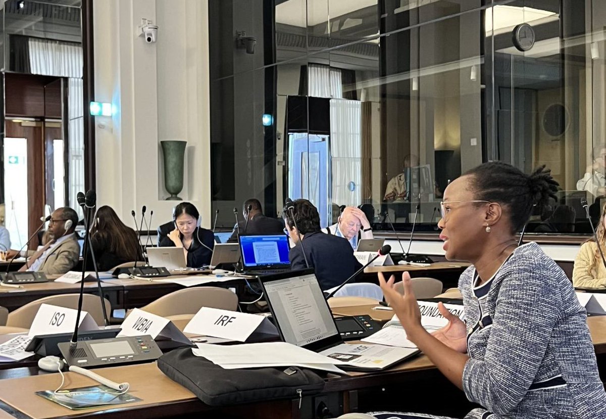 UN_RSF's tweet photo. The @UN_RSF is working to align countries with @UN standards &amp; promote sustainable domestic financing. Strategic partnerships &amp; collaborations are being strengthened by the SG Special Envoy for RS @JeanTodt, the #G20, @ITF, @WHO &amp; UN Resident Coordinators said @aideworks at #WP1 https://t.co/pDMQlxlCUE