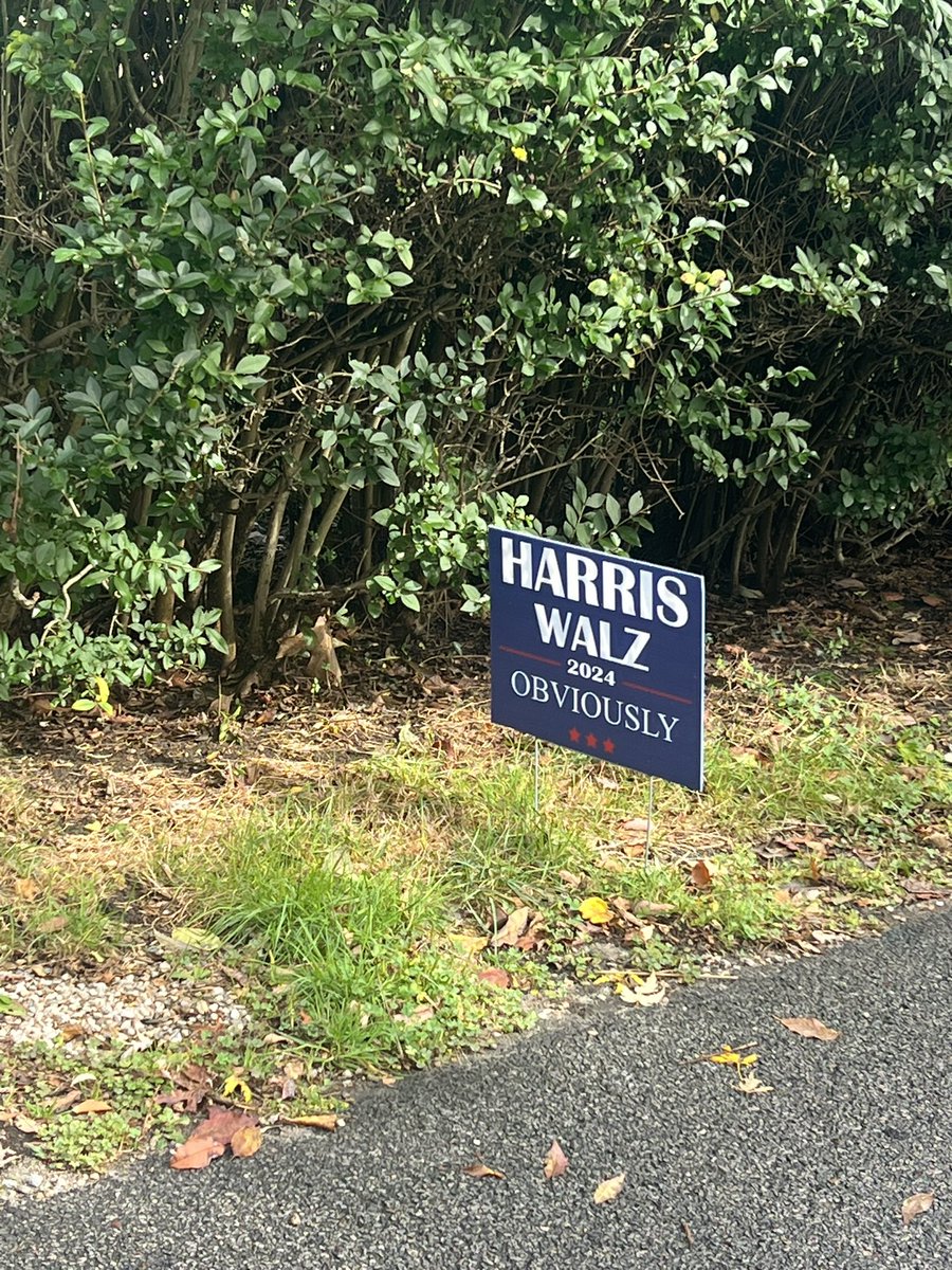 PlanetDobbs's tweet photo. @smerconish Seen in Rhode Island https://t.co/da0RBecvP8
