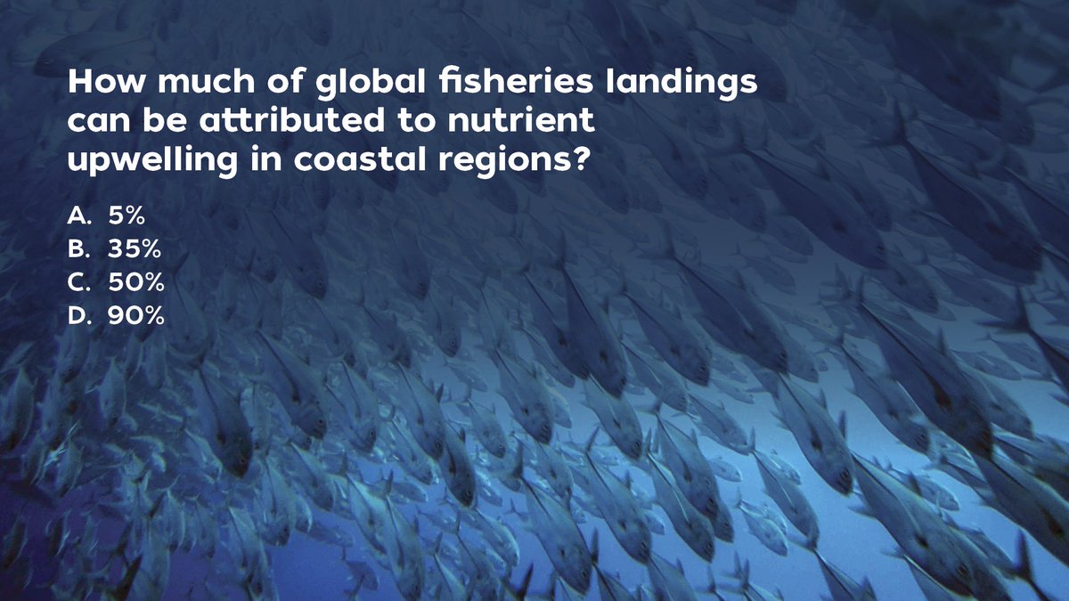 Woods Hole Oceanographic Institution (WHOI) tweet media