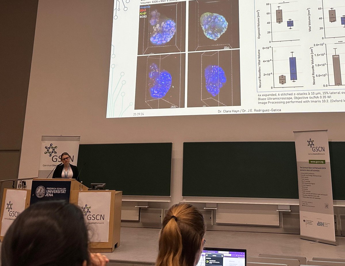 Clara Hayn (@chaynorganos) on Twitter photo Proud to have been selected to present my data on testing drug neurotoxicity using human iPSC derived forebrain #organoids at #GSCN2024. Many thanks to <a href="/JuanEdoRG/">Juan Edo Rodriguez</a> for the amazing #LSFM + #ExM based characterisation of their 3D morphology that we achieved together 🥳🍀🔬🎉 Proud to have been selected to present my data on testing drug neurotoxicity using human iPSC derived forebrain #organoids at #GSCN2024. Many thanks to <a href="/JuanEdoRG/">Juan Edo Rodriguez</a> for the amazing #LSFM + #ExM based characterisation of their 3D morphology that we achieved together 🥳🍀🔬🎉