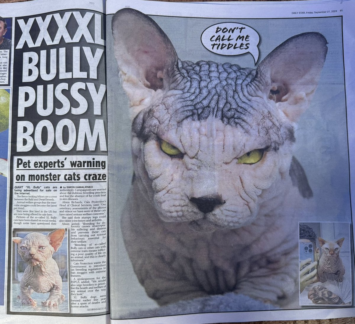 Paper Cuts Podcast tweet media