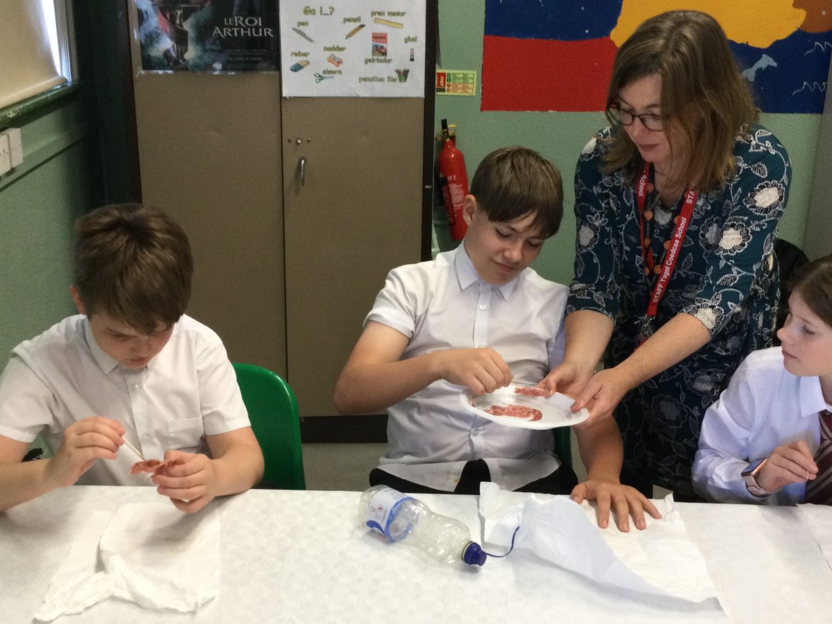 CoedcaeMFL's tweet photo. Some of our brave pupils tasting new European foods for the first time. Brie and French bread were favourites, but we're not too sure about salami and chorizo! #CoedcaeSchool #EuropeanDayOfLanguages https://t.co/fZKsbuHB0y