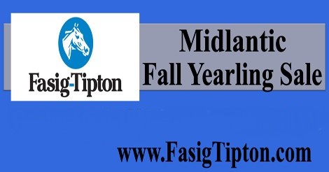 MDStateFair's tweet photo. Don't miss the #Fasig-Tipton Midlantic Fall Yearling Sale this coming Tuesday, October 1 beginning at 11 AM in the #MarylandStateFairgrounds Horse Sales Pavilion.  https://t.co/XFL781XCXW https://t.co/OyyGRhGbYr