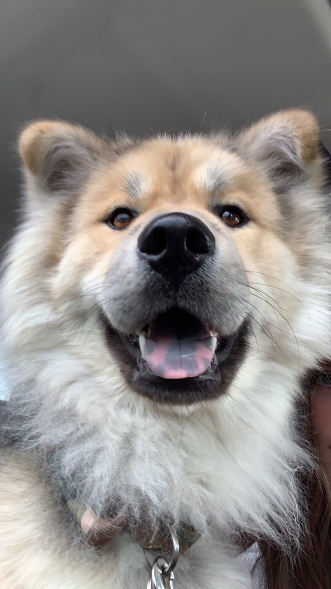 BarstoolStetson's tweet image. #GoodBoyFriday ☔️🌊🌧️