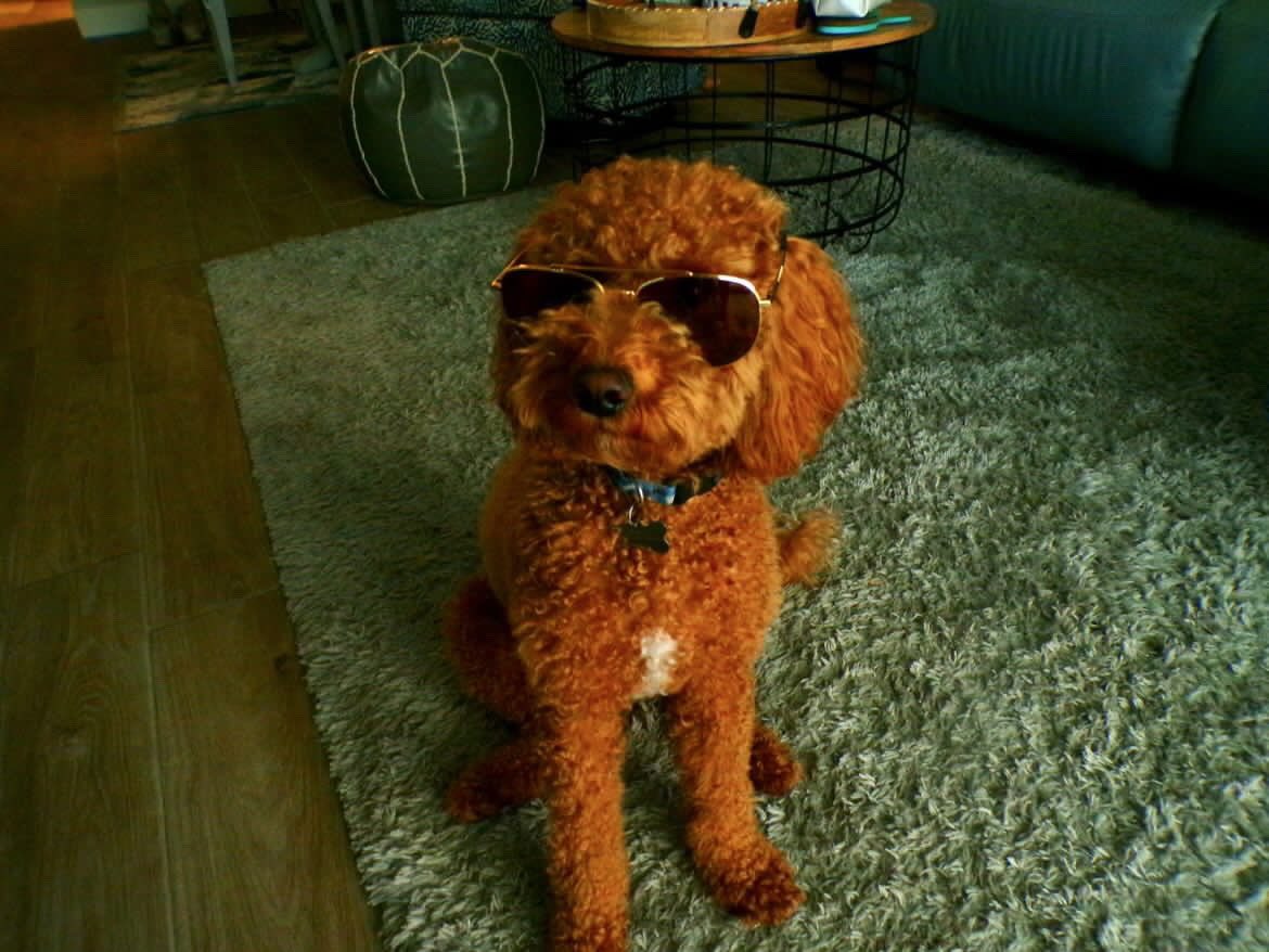 BarstoolStetson's tweet image. #GoodBoyFriday ☔️🌊🌧️