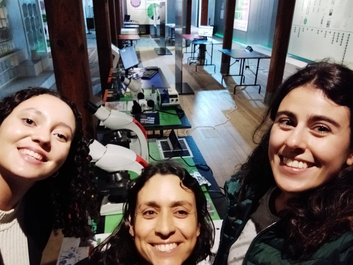 Catarina R Almeida tweet media