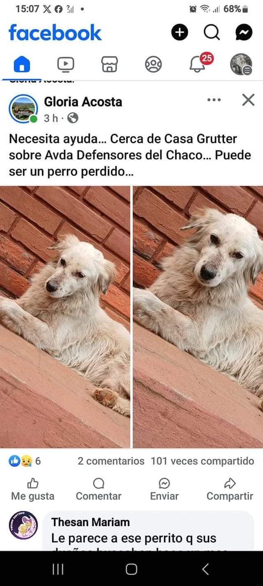 Karen Forcado ♥️🇵🇾🚩 tweet media