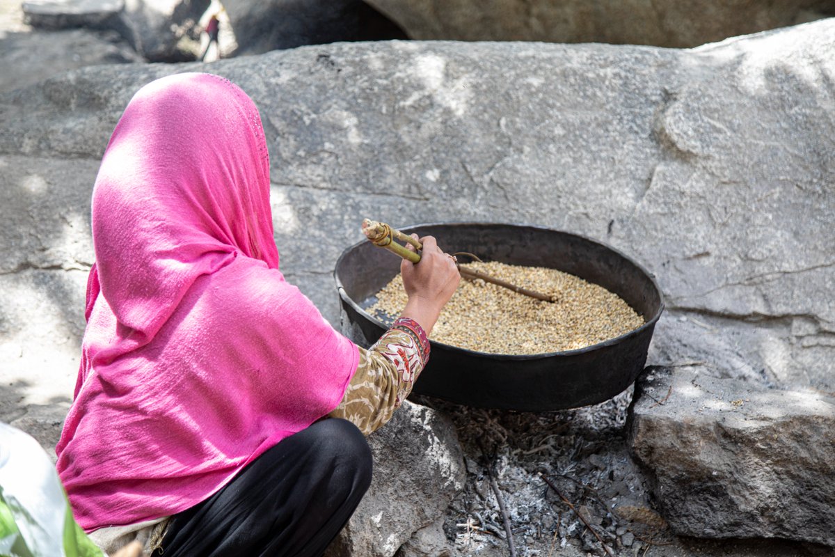 UNDP_Pakistan's tweet photo. Happy #WorldTourismDay!

#UNDPinPakistan, in partnership with the Government of Italy 🇮🇹, works to promote sustainable eco-tourism in Pakistan through the #WaterforDevelopment project in Gilgit-Baltistan 🇵🇰. 

This initiative aims to:
💦 Improve water resource management
🌲 Promote sustainable tourism
🌾 Establish labs for agriculture and livestock
👩‍🌾 Build local capacity for climate adaptation

Together, we’re uplifting local economies while safeguarding natural resources.