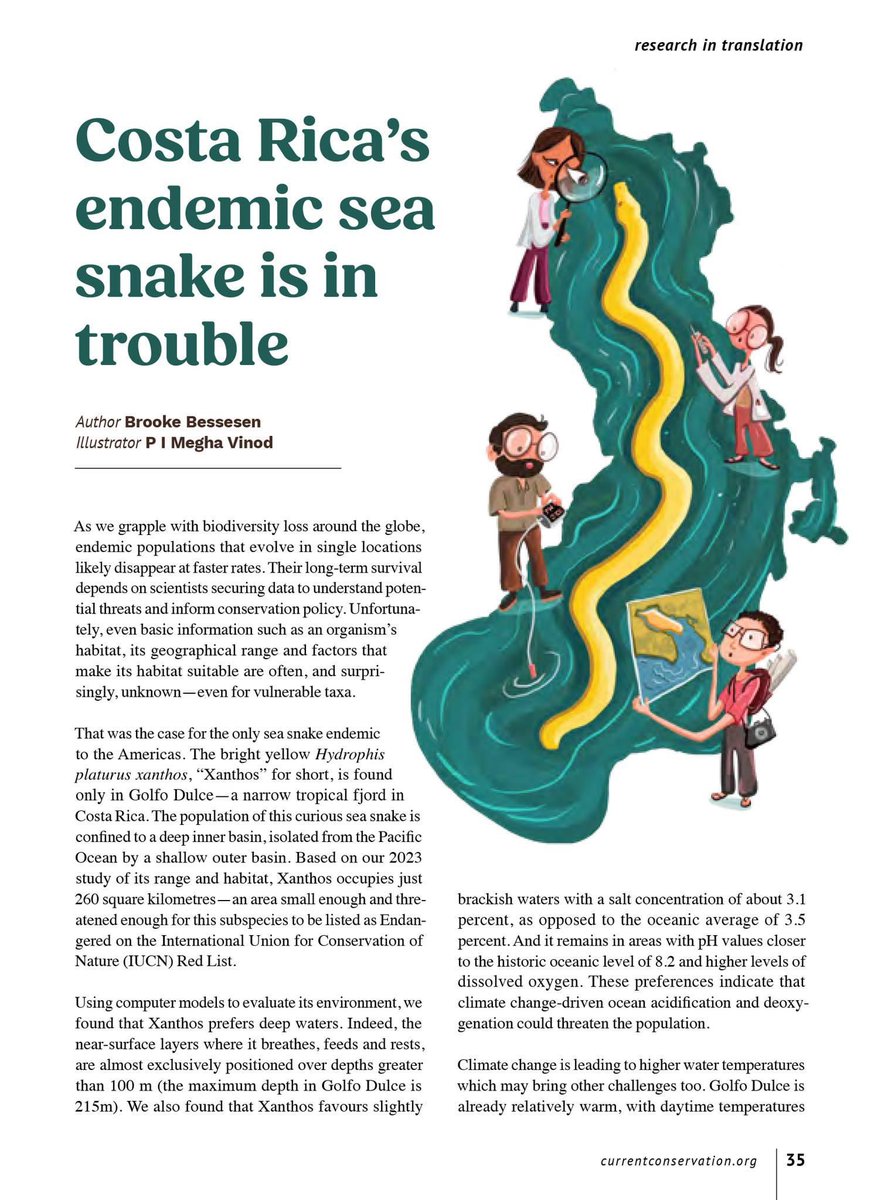 Just out! I wrote this  Research in Translation article for Current Conservation to share our latest science. 💛 Love the artwork by P I Megha Vinod.

🙏 collaborators: <a href="/MGS_tweets/">Dr Manuela Gonzalez-Suarez</a> CGarrido @VinayUdyawer <a href="/jcroweriddell/">Jenna</a> HLillywhite

🔗 currentconservation.org/wp-content/upl…