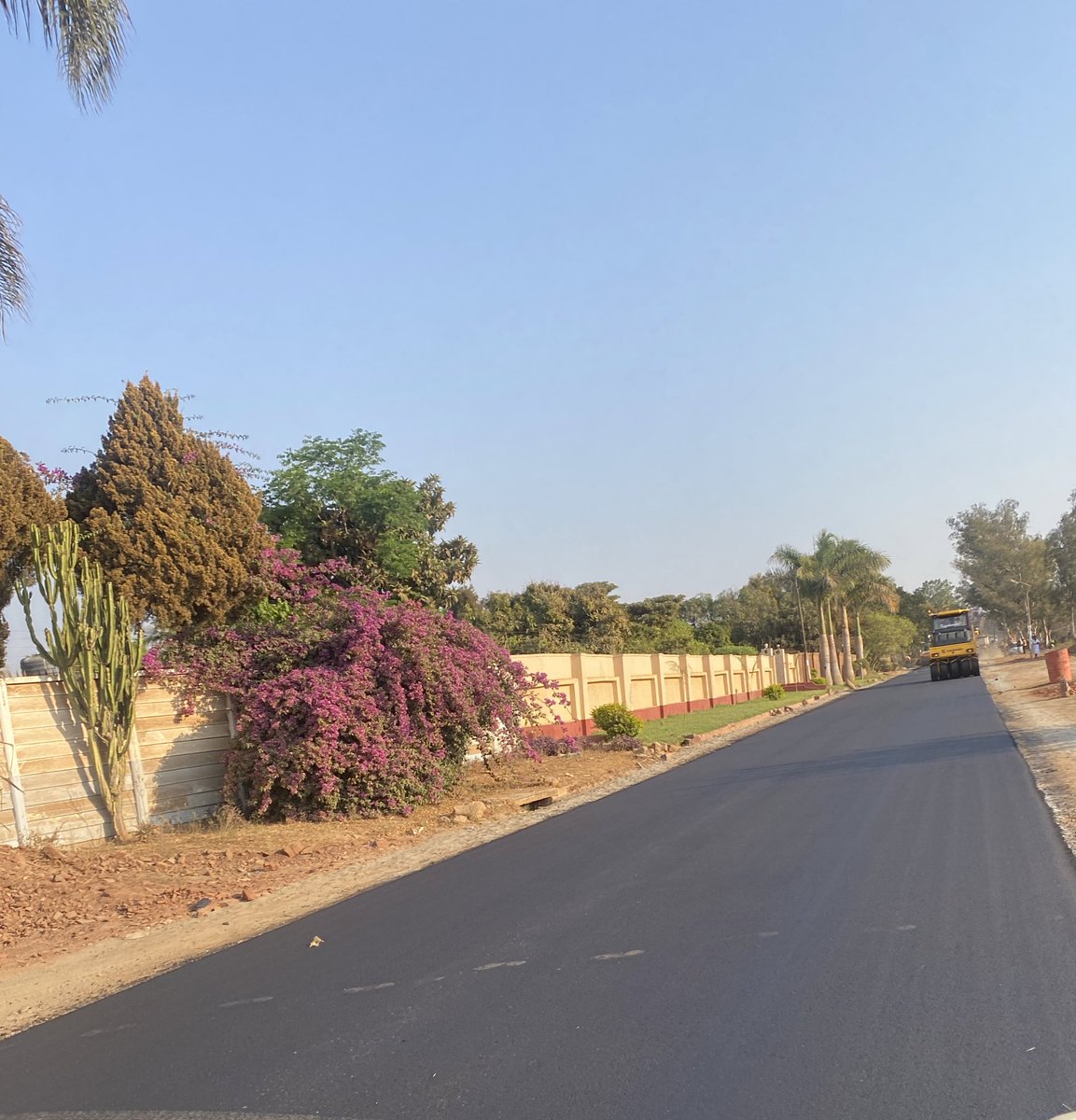 kayolicious's tweet photo. Avonlea drive finally!! Mhururu please💃🏾 https://t.co/BNrDMqG8hC