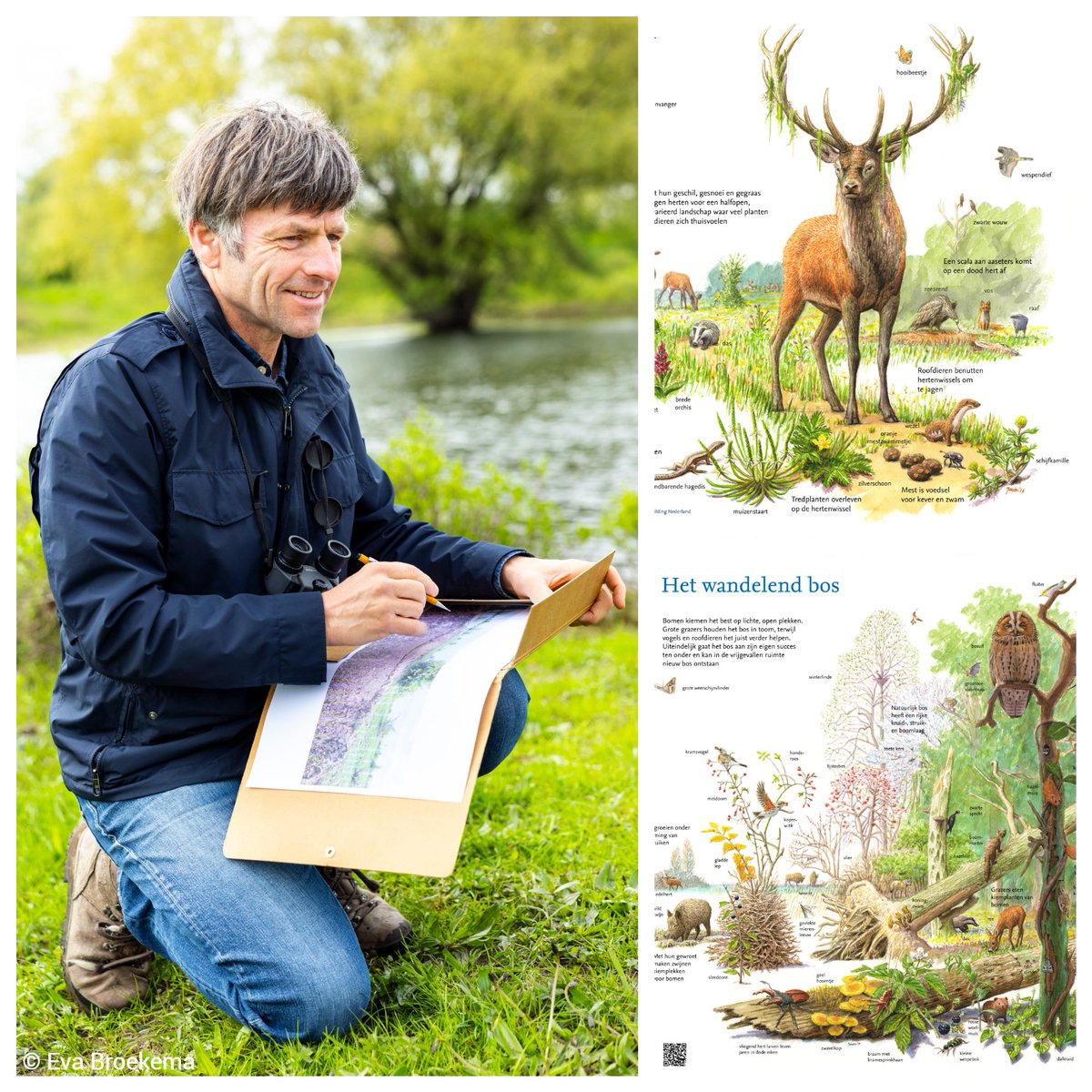 Anthonie Stip (@birdingstip) on Twitter photo Wereldberoemd zijn ze, de ecologische tekeningen van Jeroen Helmer <a href="/ARKNatuur/">ARK Rewilding Nederland naar Bluesky</a>.
Ze openen de weg naar meer verbeelding, naar een rijke natuur in de Lage Landen. Wat drijft Jeroen en hoe gaat hij te werk?
Nu te beluisteren in de nieuwe <a href="/ToekomstNatuur/">Toekomst voor Natuur</a>
podcasters.spotify.com/pod/show/toeko… Wereldberoemd zijn ze, de ecologische tekeningen van Jeroen Helmer <a href="/ARKNatuur/">ARK Rewilding Nederland naar Bluesky</a>.
Ze openen de weg naar meer verbeelding, naar een rijke natuur in de Lage Landen. Wat drijft Jeroen en hoe gaat hij te werk?
Nu te beluisteren in de nieuwe <a href="/ToekomstNatuur/">Toekomst voor Natuur</a>
podcasters.spotify.com/pod/show/toeko…