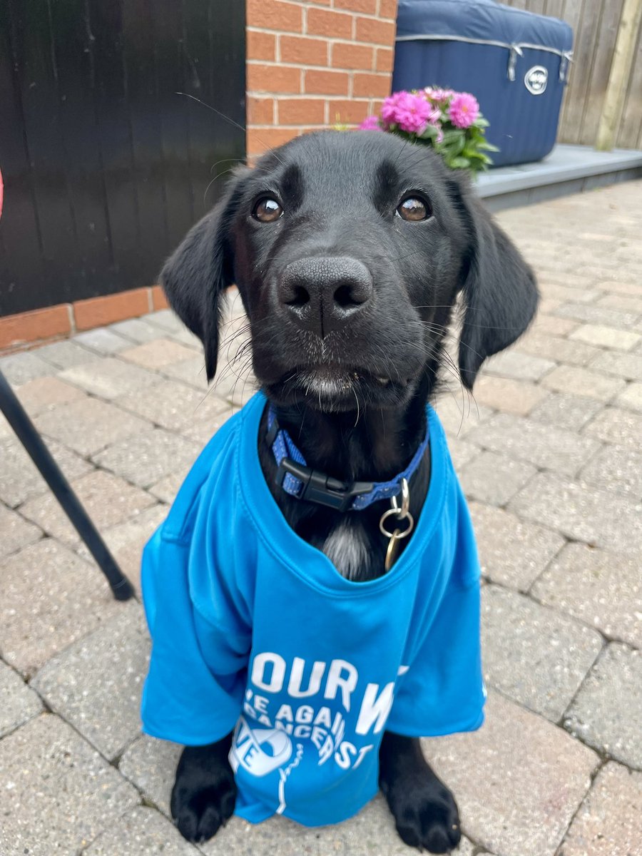 5kYWBelfastOrmeau tweet media