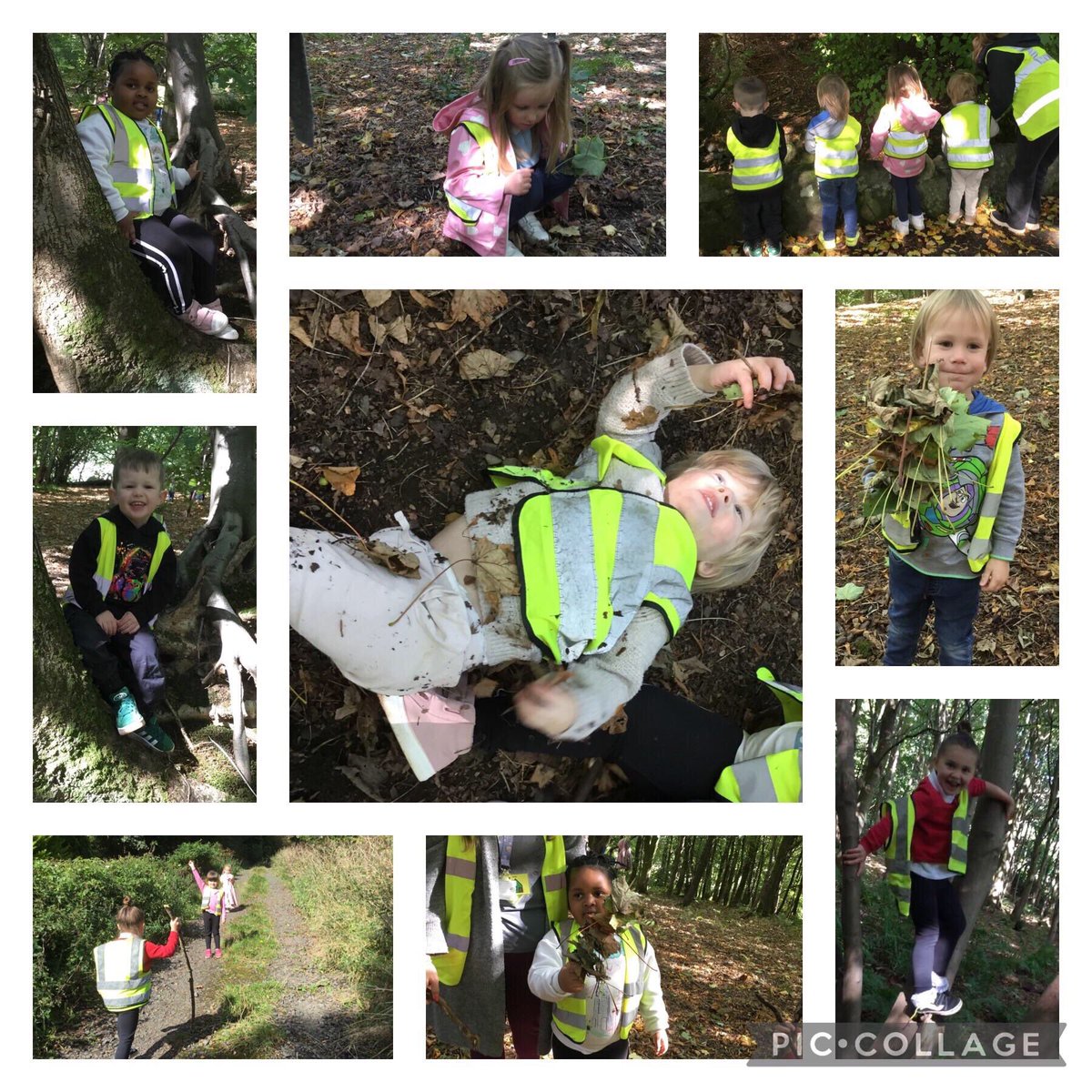 Tillicoultry ELC tweet media