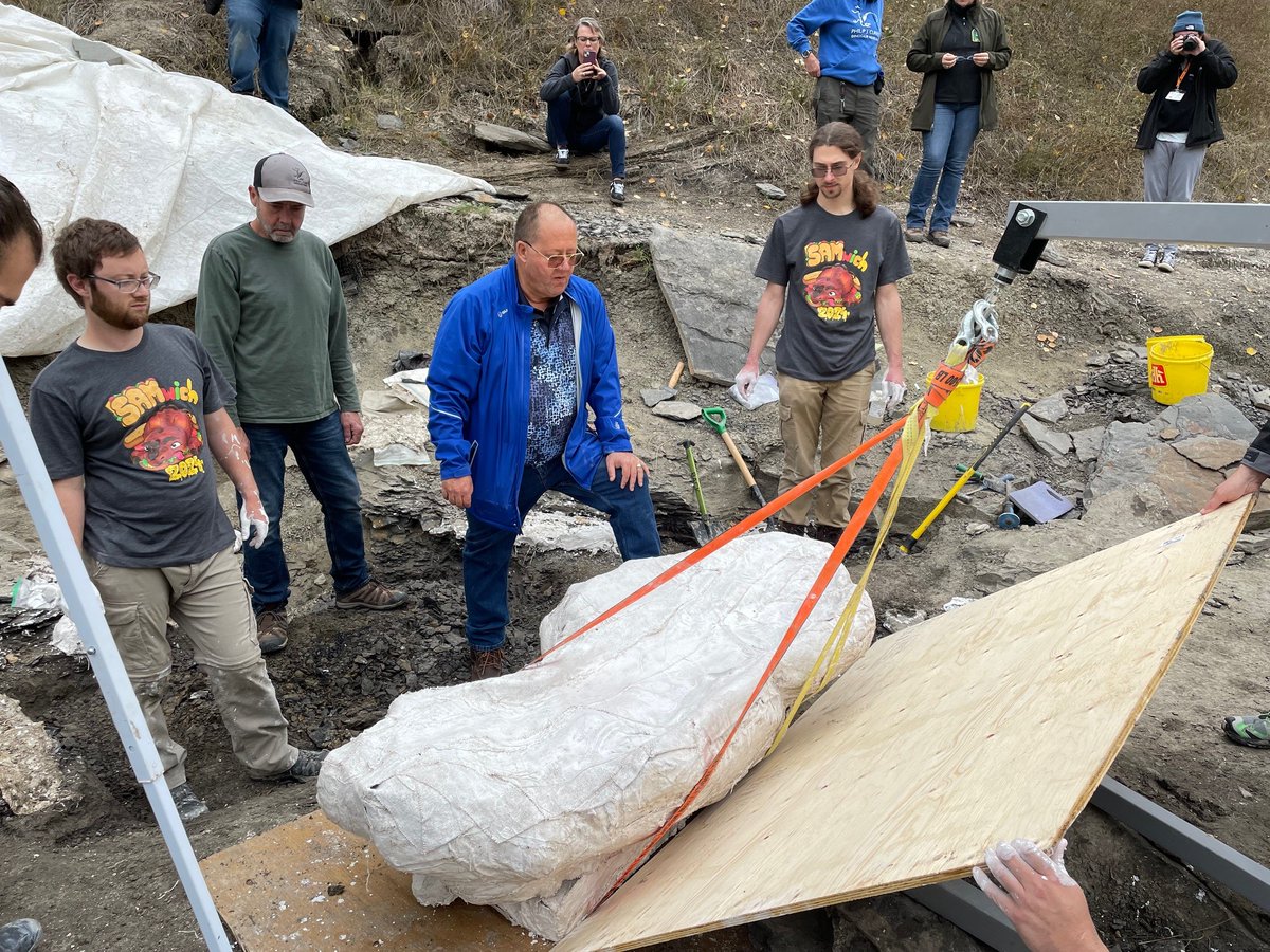 EL_Bamforth's tweet photo. #FossilFriday! Best week EVER! The @CurrieMuseum team got a 600 lbs #Pachyrhinosaurus skull, nicknamed 'Big Sam', out of the #PipestoneCreekBonebed on Wednesday. It went *perfectly*. Can't wait to see what surprises are in store during the prep! #dinosaurs #livefromthefield https://t.co/PQYk8sNUPO