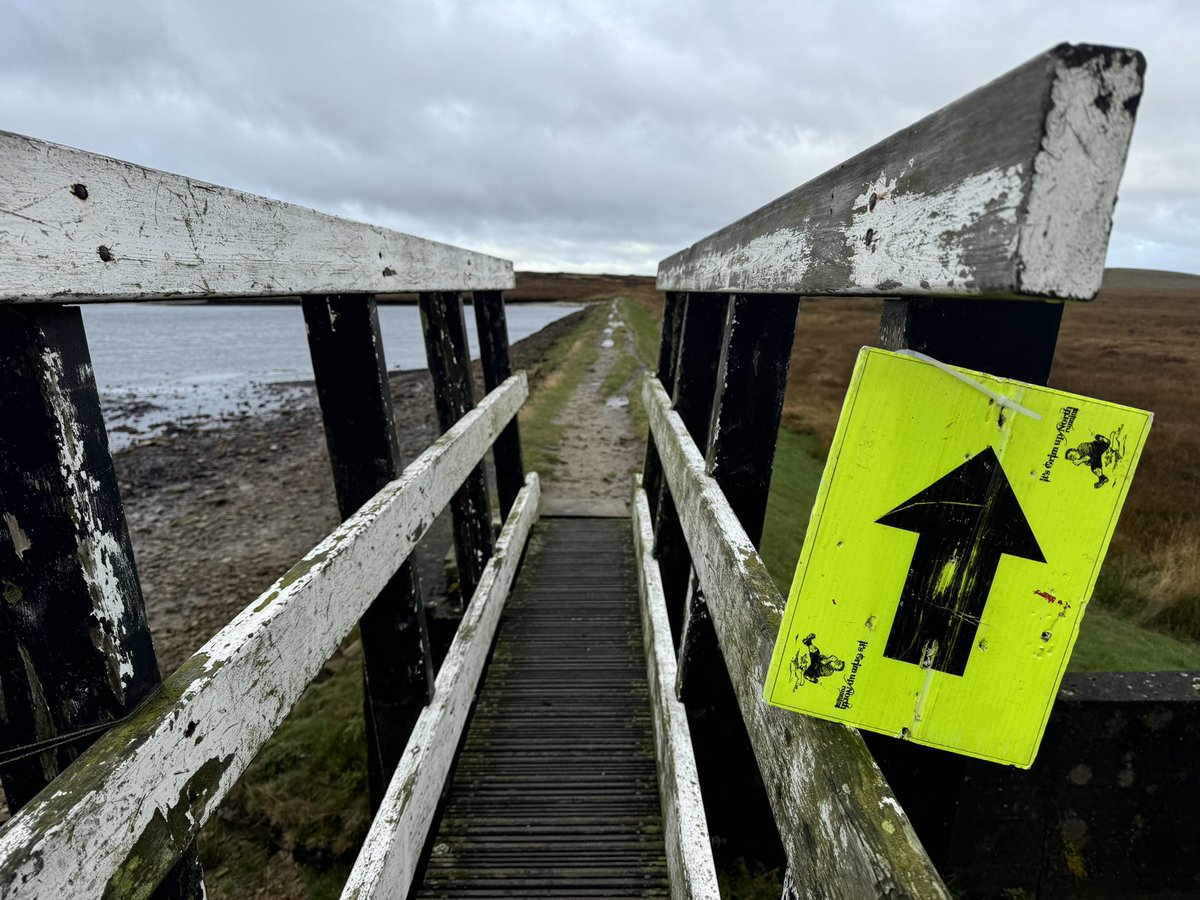 nuddypants's tweet image. I spent a good chunk of this mornings run removing tape/race signs from the Pennine Way. 😕

These were left by a race company 2 weeks ago. 

I emailed them on Tues, tagged them on Insta and someone posted my screenshot onto their FB page. 
No reply.

The post was removed…
1/2