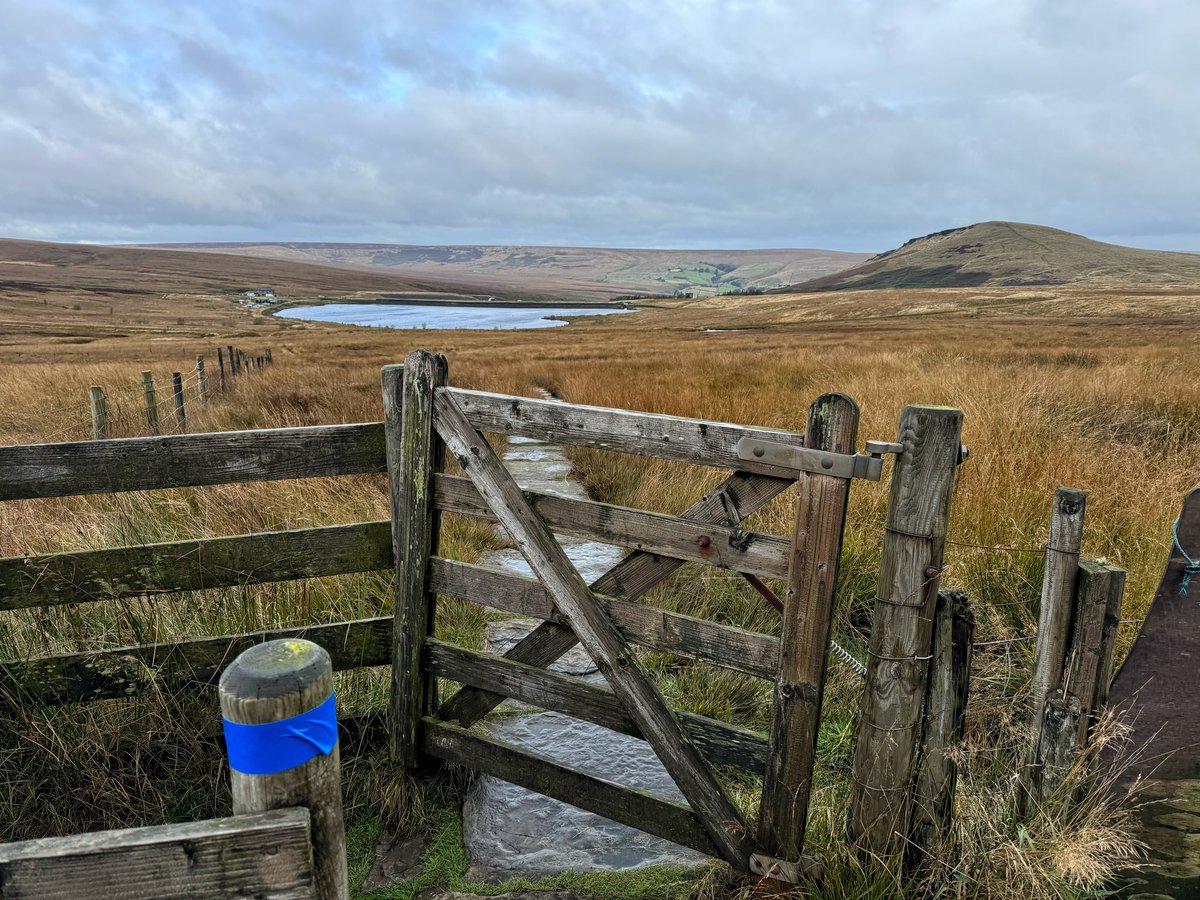 nuddypants's tweet image. I spent a good chunk of this mornings run removing tape/race signs from the Pennine Way. 😕

These were left by a race company 2 weeks ago. 

I emailed them on Tues, tagged them on Insta and someone posted my screenshot onto their FB page. 
No reply.

The post was removed…
1/2